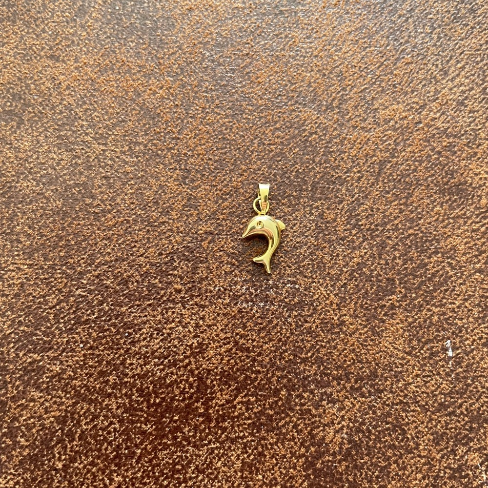 14k gold pendant/charm